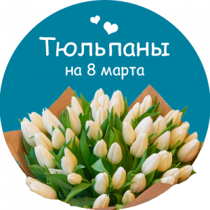 Купить тюльпаны в Кологриве